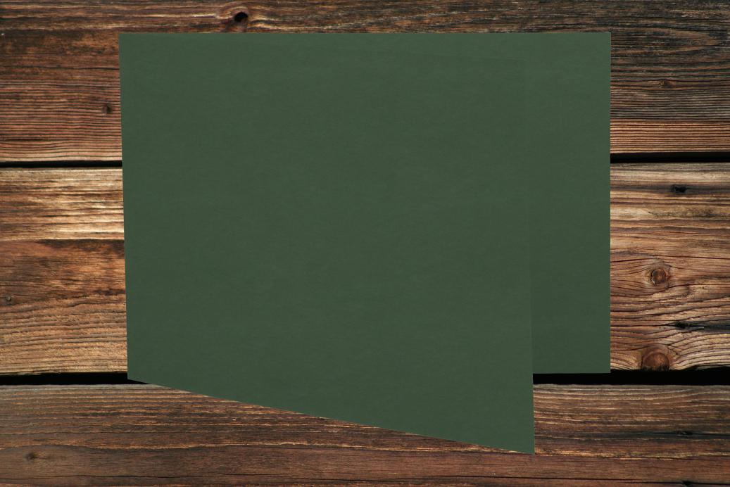 Klappkarten 105x210/420 mm langdoppelt Dunkelgrün 230 g/qm